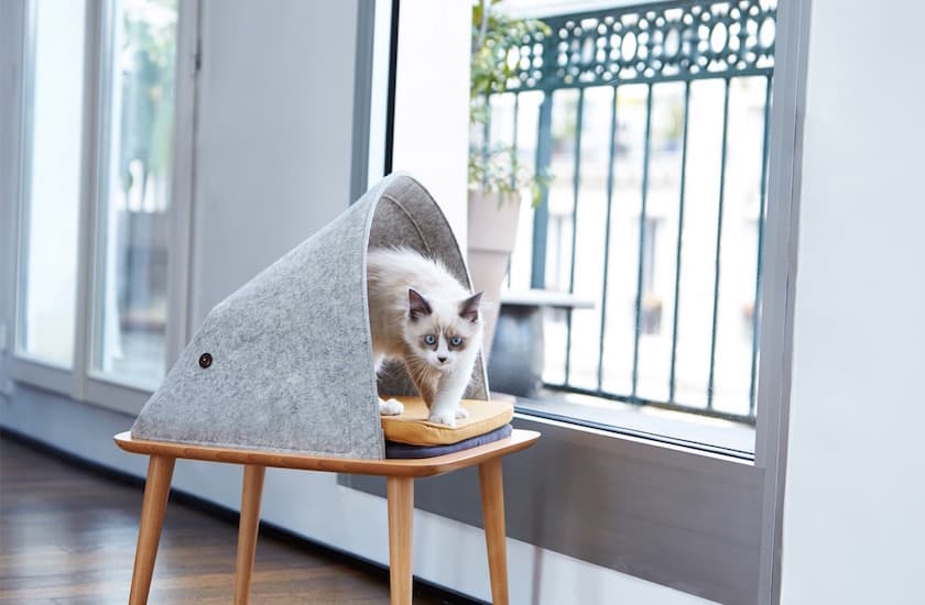design animal litiere maison chat pied scandinave