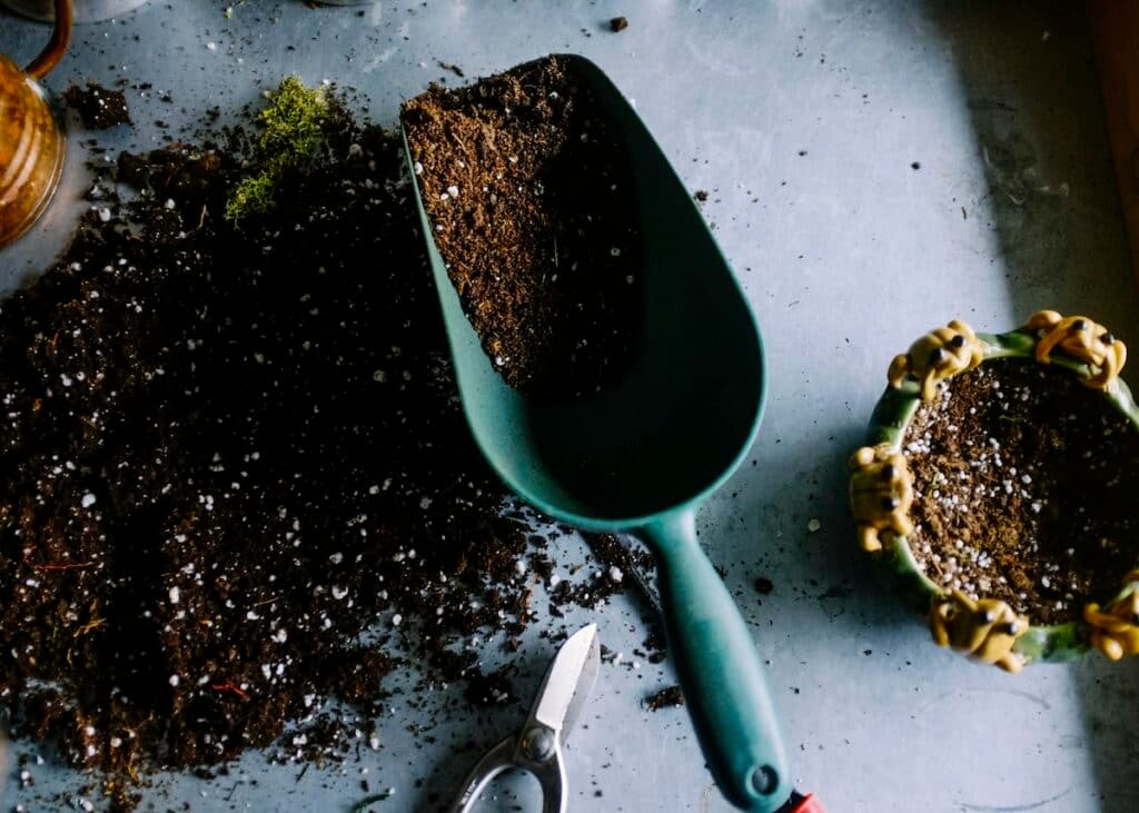 quoi planter en mai jardin potager verger ornement - blog déco - clemaroundthecorner