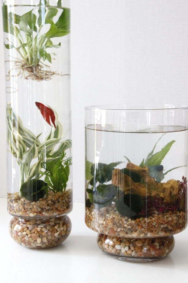 Deco nature DIY pour faire rentrer le feuillage