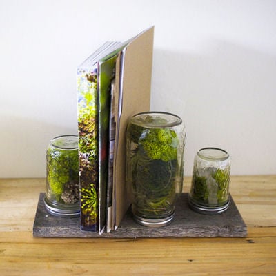 Deco nature DIY pour faire rentrer le feuillage