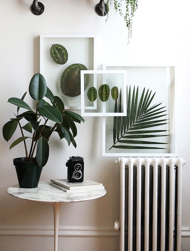 Deco nature DIY pour faire rentrer le feuillage