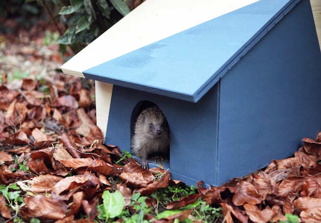 idee bricolage maison pour herisson