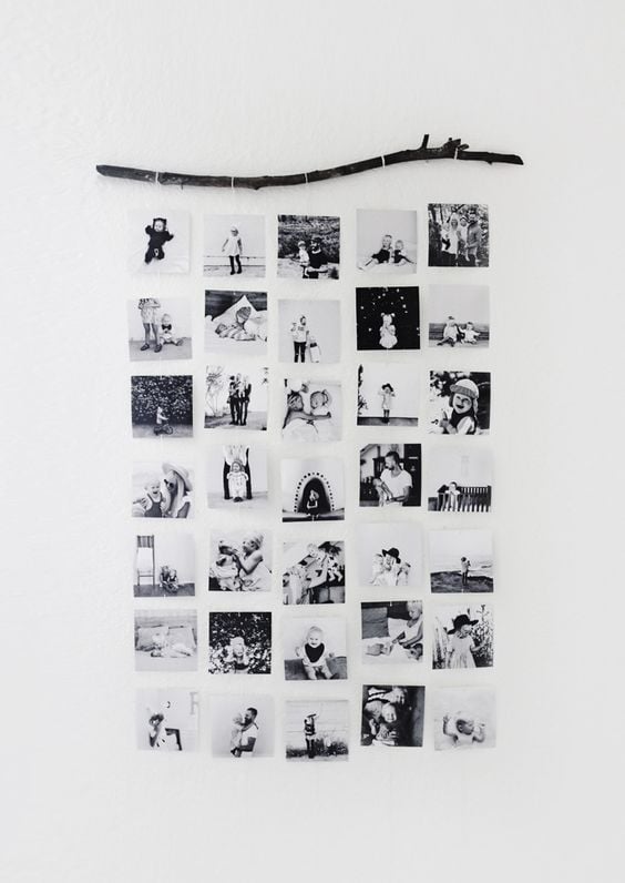 suspendre ses polaroid à une branche