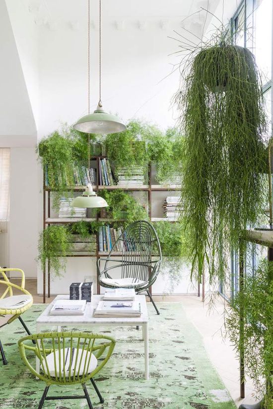 Pantone Vert Greenery la couleur de l’année 2017