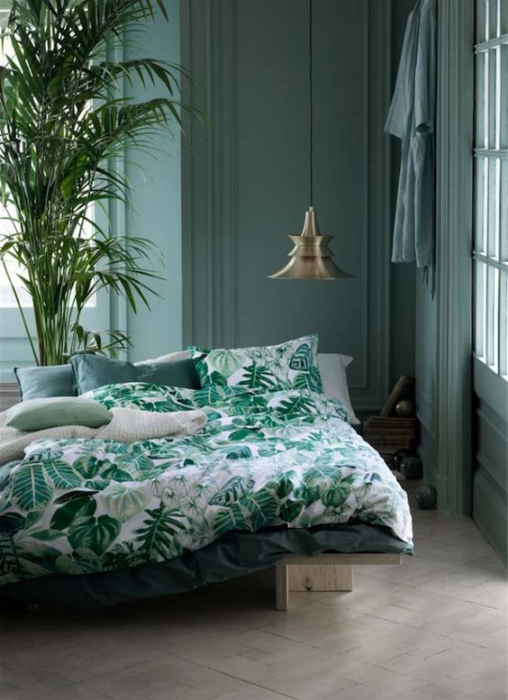 mur bleu turquoise sobre chambre tropicale