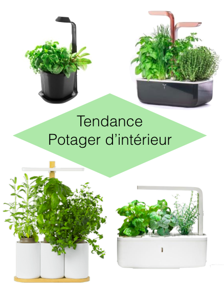 jardiner en appartement potager connecte
