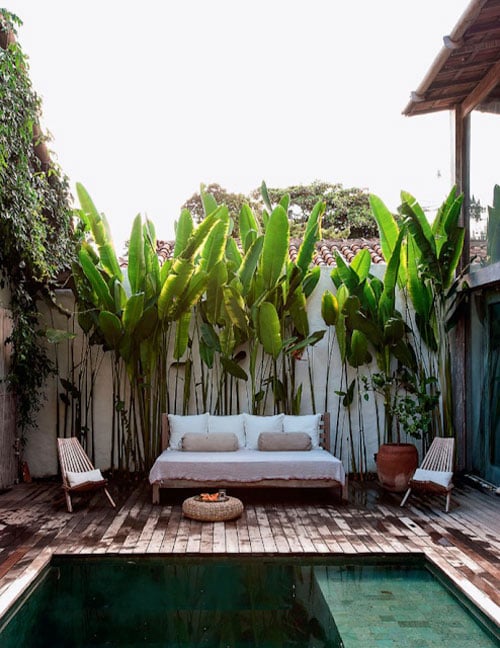 idee jardiniere masquer le mur voisin jardin
