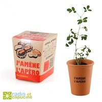 plante a pousser