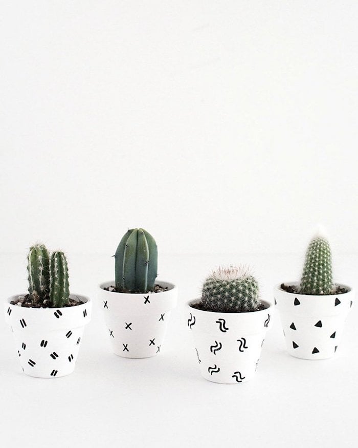 deco bucolique cactus vert pots