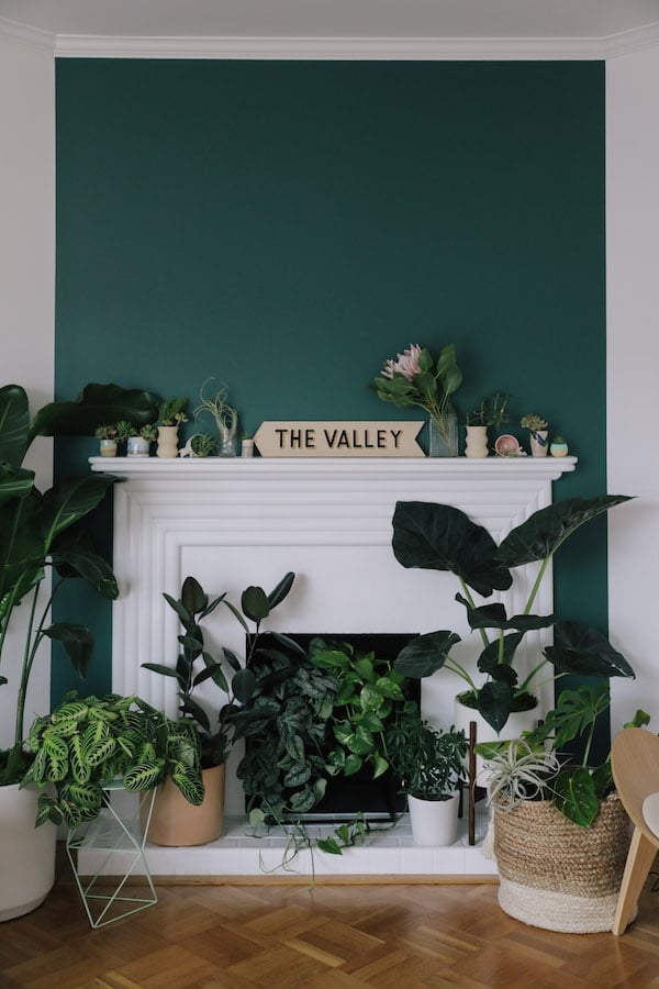 cheminée urban jungle verte sunset à san francisco blog déco clemaroundthecorner