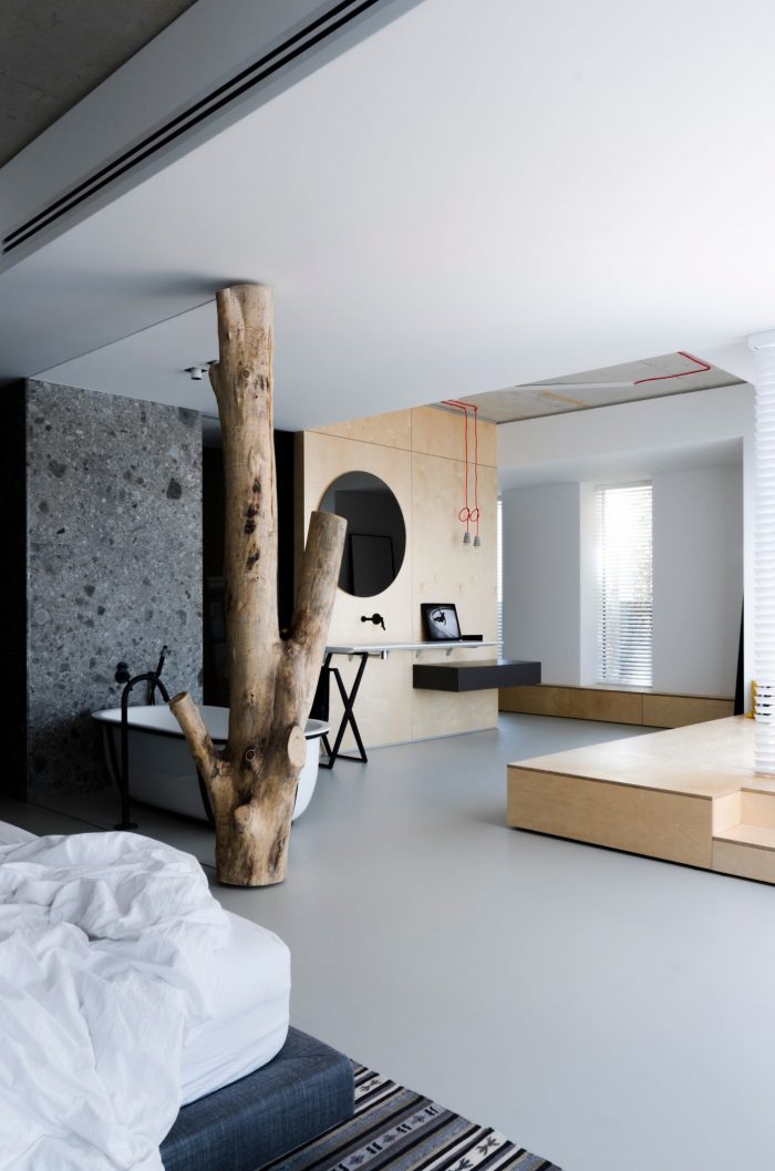 appartement esprit loft arbre verrière salle de bain