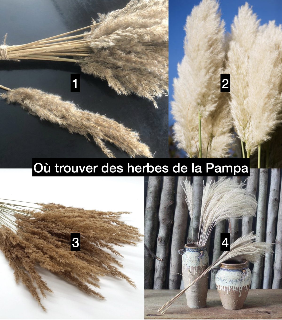 trouver acheter herbe de la pampa déco mariage boheme - clem around the corner