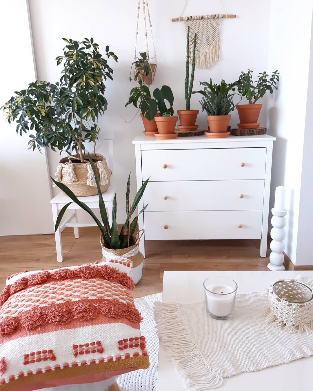 Laura Dekor commode collection plante verte intérieur cactus