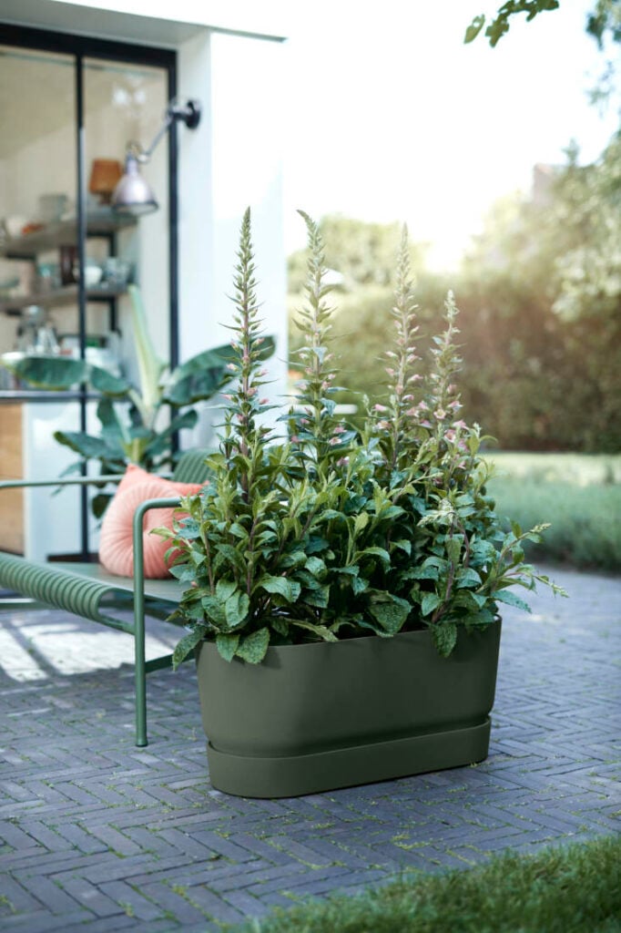 potager en ville jardinière sur roulette pour planter fraisier herbe aromatique - clem around the corner