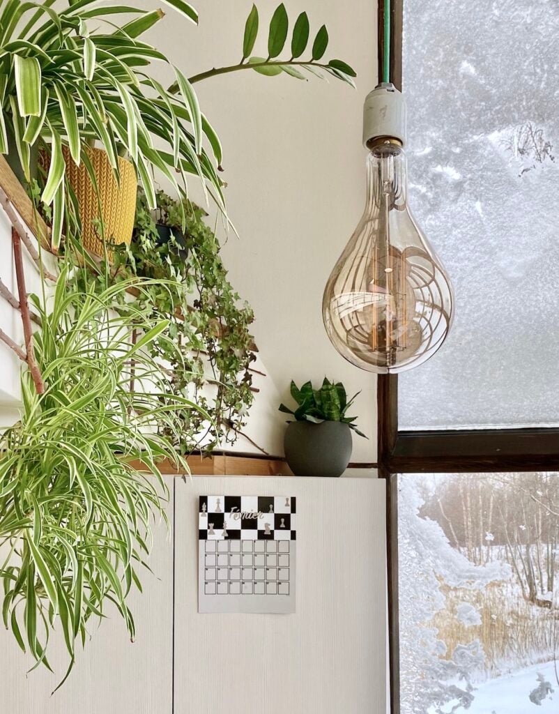 décoration murale mezzanine urban jungle ampoule xxl filament