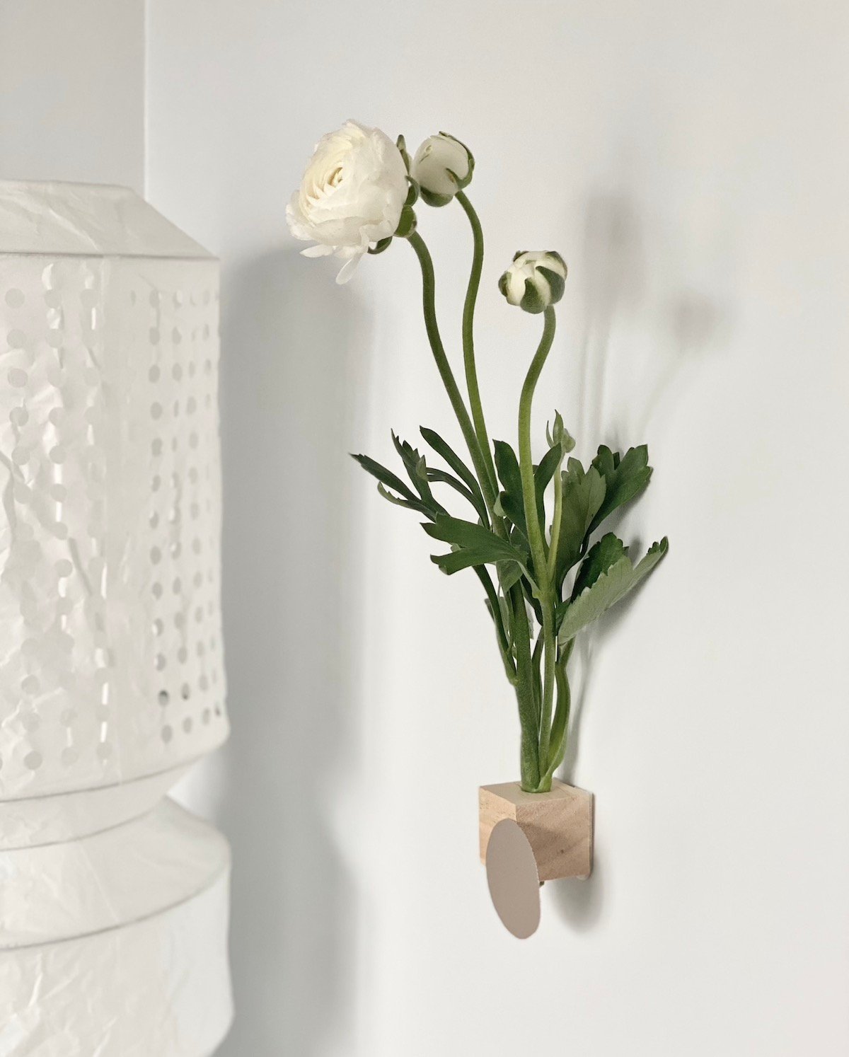 soliflore blog création déco diy clem around the corner