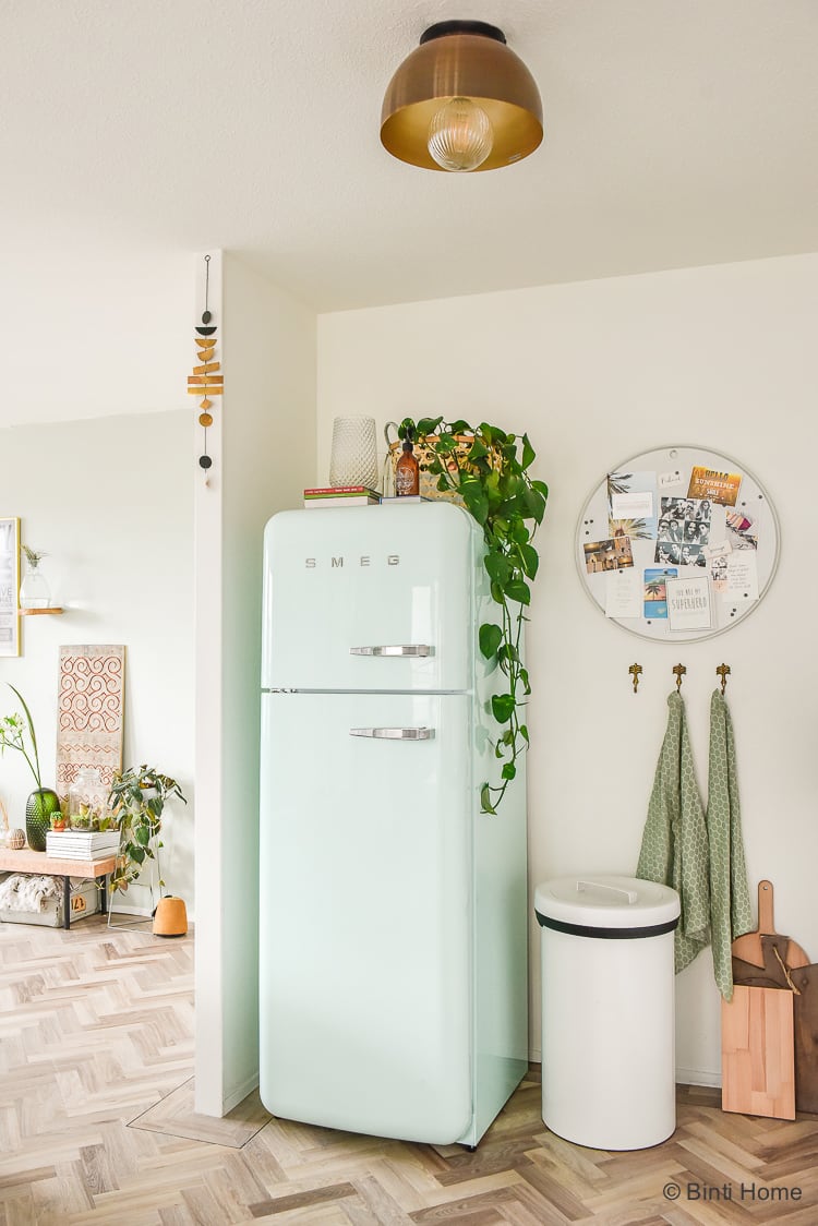 inspi deco intérieure lumineux épurée nature urban jungle frigo vert celadon