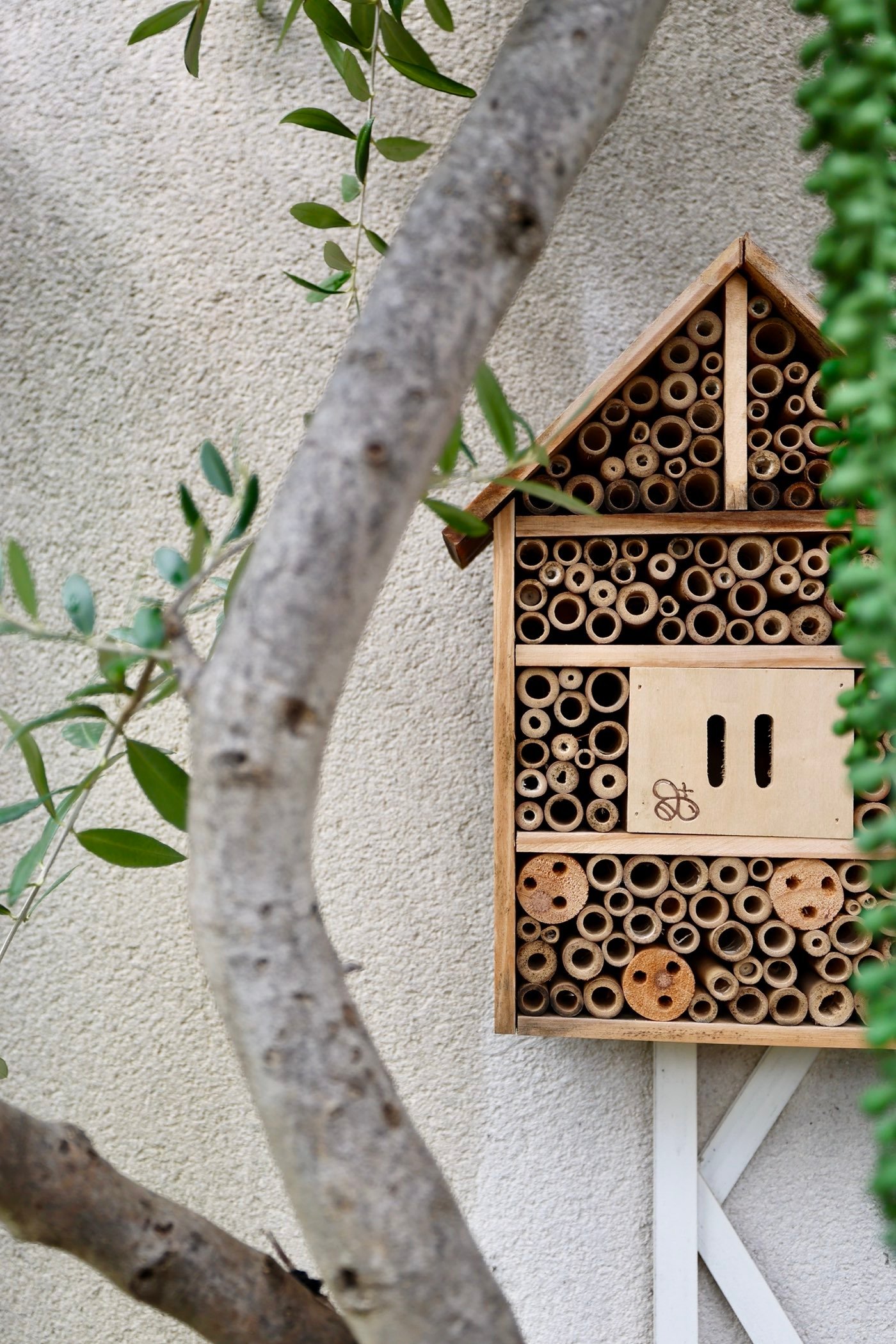 fixer objet lourd sans percer extérieur bois hôtel insecte