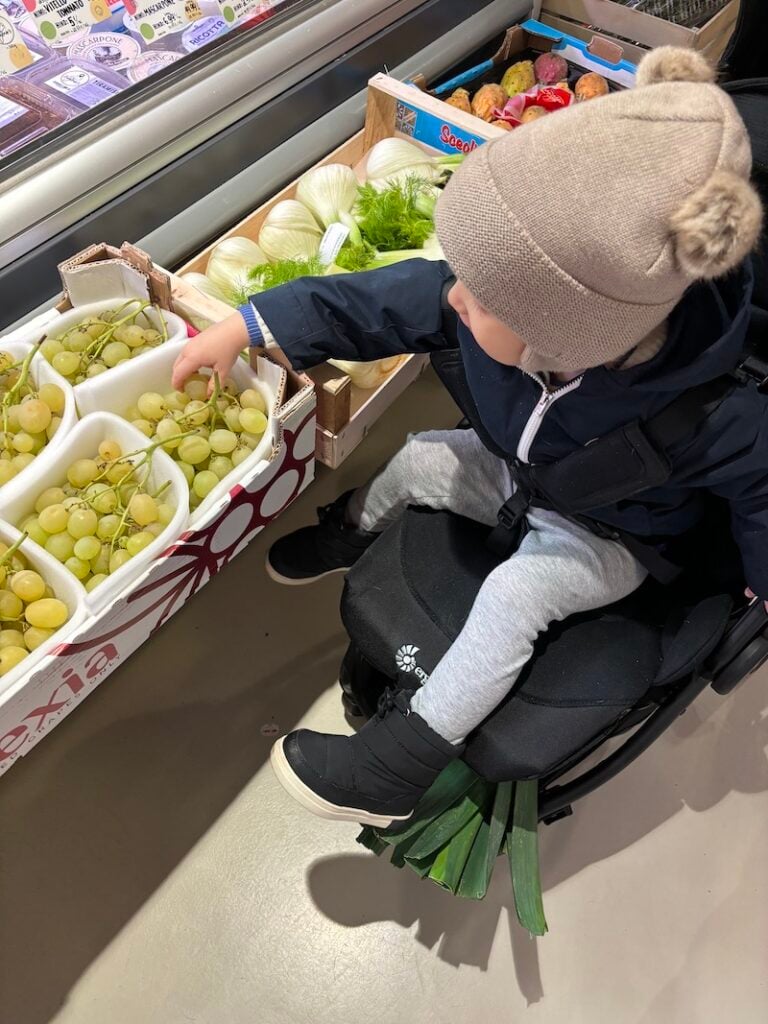 activité éveil enfant 18 mois fruit