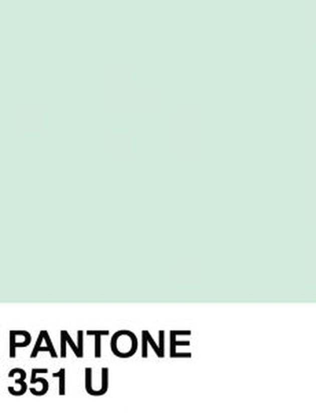 pantone couleur mint 351 U
